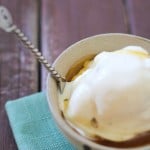 Vanilla Bean & Honey Frozen Yogurt