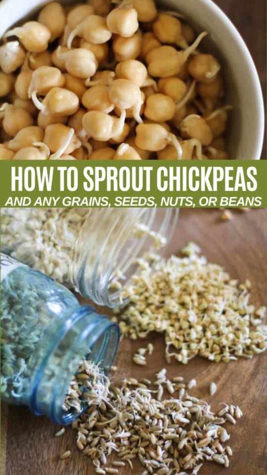 How to Sprout Chickpeas