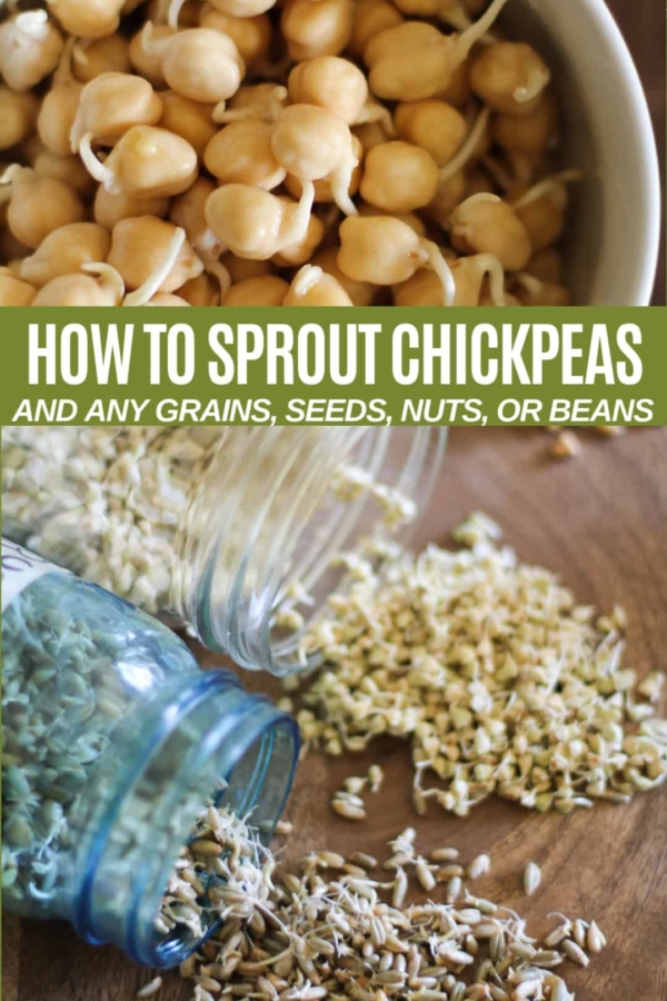 How to Sprout Chickpeas