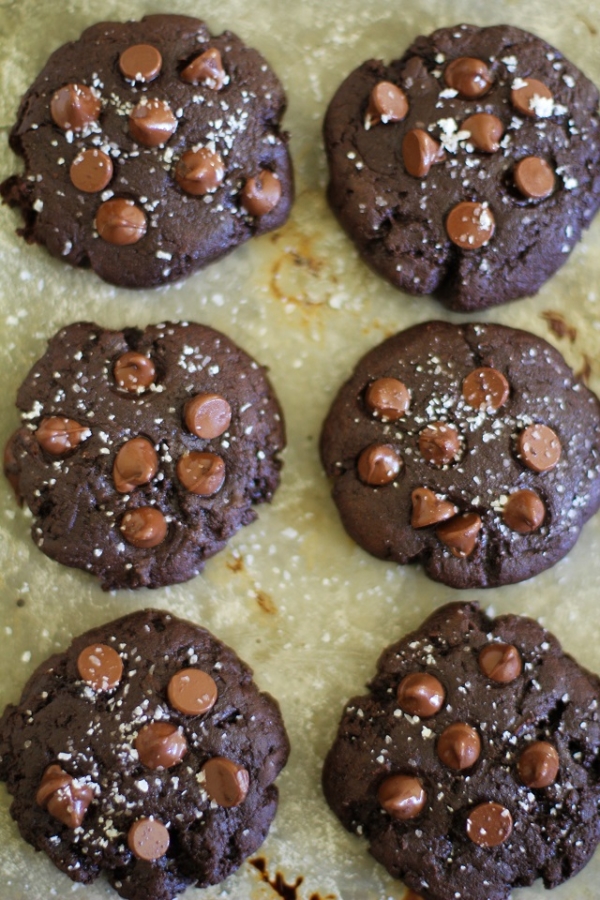 Grain-Free Salted Double Chocolate Buckwheat Cookies - a super rich gluten-free dessert! TheRoastedRoot.net