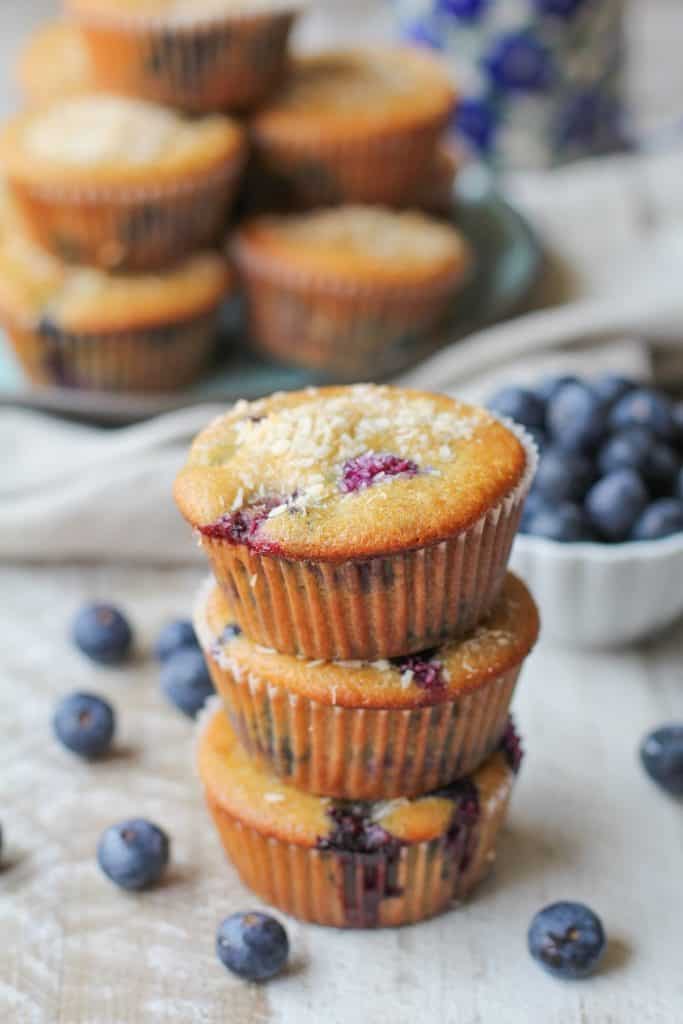 Paleo Blueberry Muffins - The Roasted Root