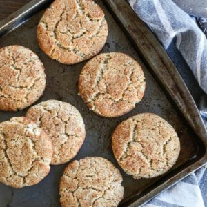 Vegan Snickerdoodles - 2 recipes for vegan snickerdoodles - a grain-free version, and a gluten-free version. Dairy-free, refined sugar-free, and healthy!