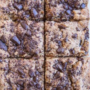 Chocolate Chip Paleo Blondies - The Roasted Root