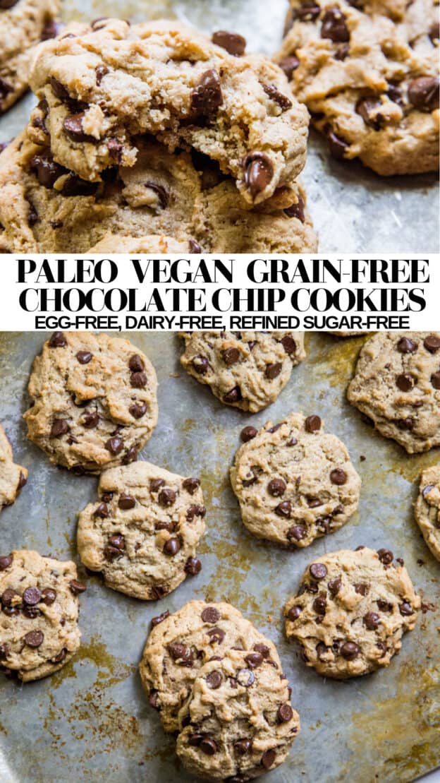 Paleo Vegan Chocolate Chip Cookies - The Roasted Root