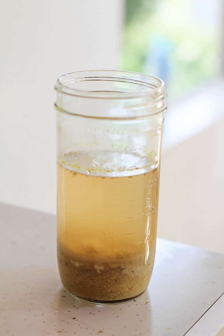 How to Make Probiotic Ginger Beer - The Roasted Root