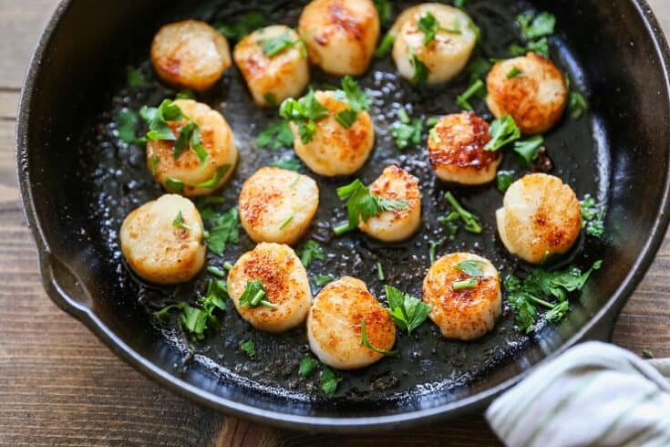 Seared Scallops with Chimichurri Sauce - The Roasted Root