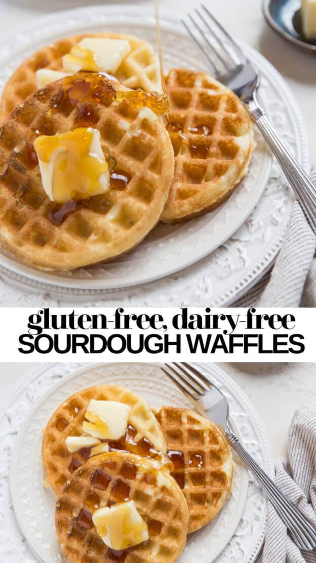 Gluten-Free Sourdough Waffles - The Roasted Root