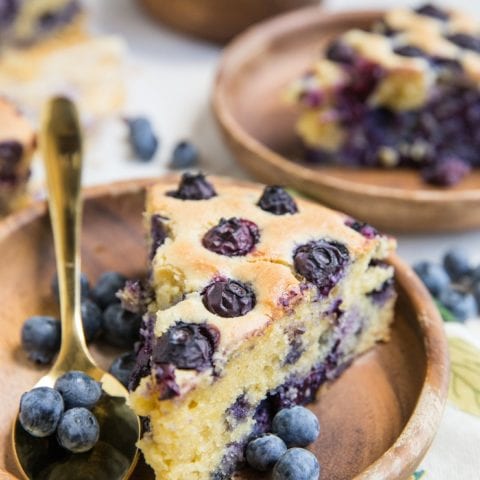 Paleo Blueberry Cake (With Low-Carb Option) - The Roasted Root