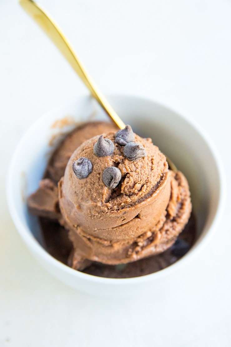 3-Ingredient Chocolate Banana Ice Cream (Vegan, Paleo) - The Roasted Root