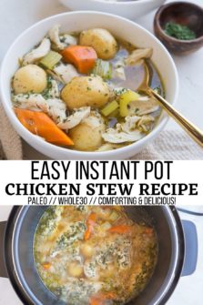 Instant Pot Chicken Stew - The Roasted Root