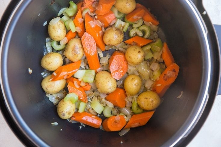 Instant Pot Chicken Stew - The Roasted Root