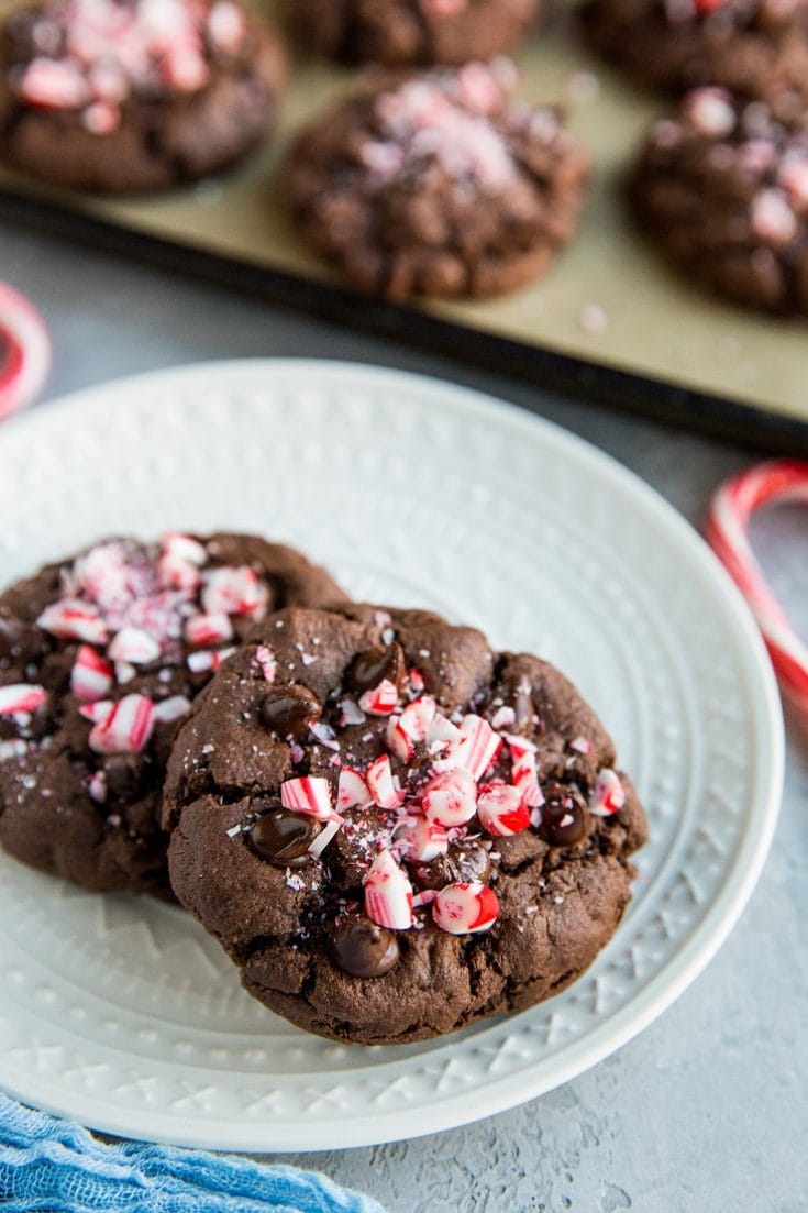 Double Chocolate Gluten-Free Peppermint Cookies - The Roasted Root