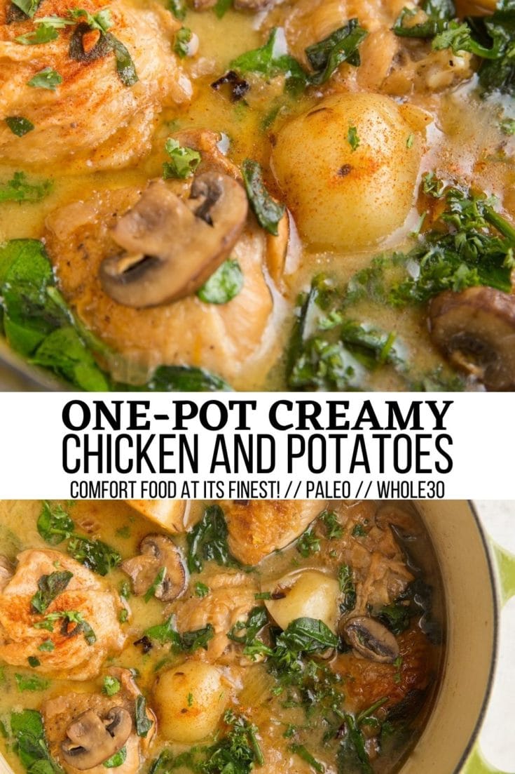 One-Pot Creamy Chicken and Potatoes - The Roasted Root