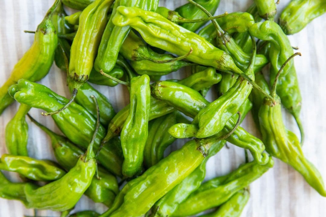 Garlic Butter Blistered Shishito Peppers - The Roasted Root