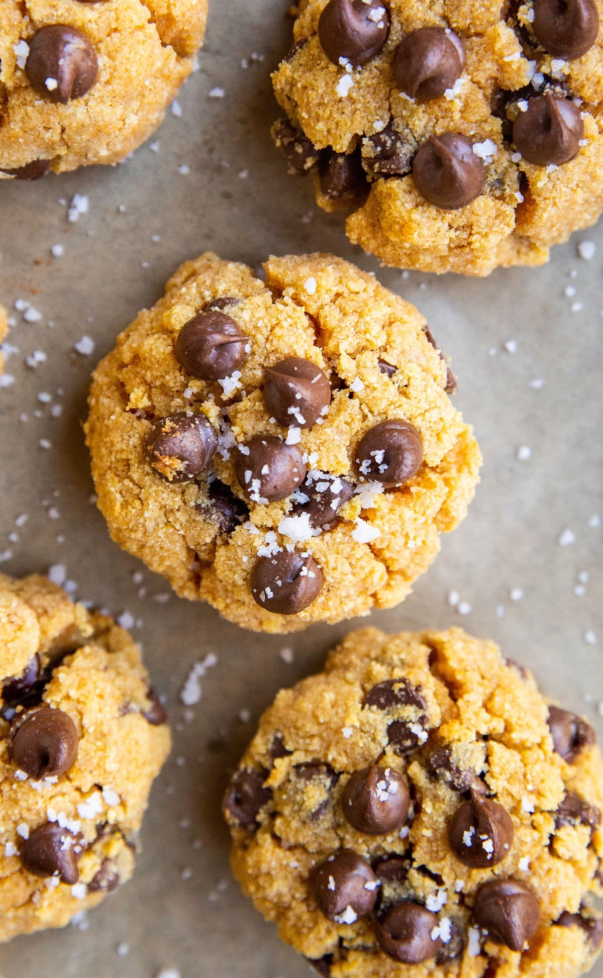 Keto Pumpkin Chocolate Chip Cookies - The Roasted Root