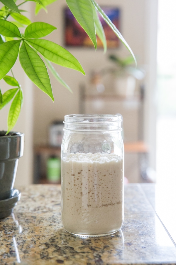 Sourdough starter in a jar on a counter