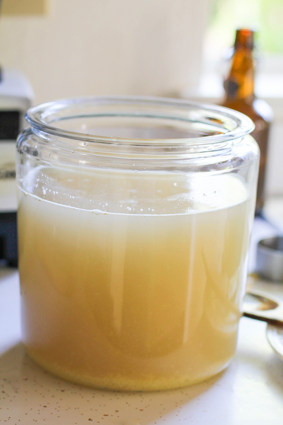 How to Make Probiotic Ginger Beer - a naturally fermented probiotic-rich beverage that you can make at home | TheRoastedRoot.net