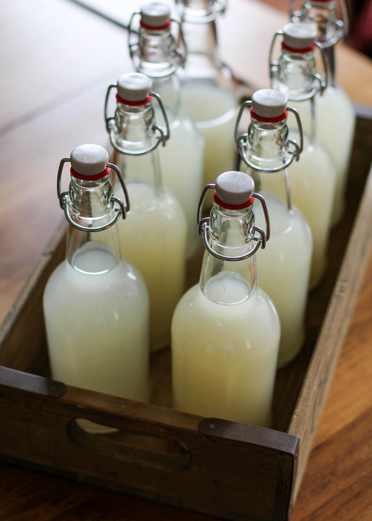 How to Make Probiotic Ginger Beer - a naturally fermented probiotic-rich beverage that you can brew at home using minimal equipment! | TheRoastedRoot.net