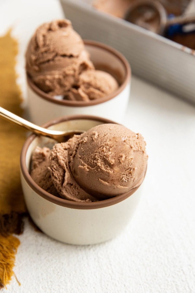 Dairy-Free Chocolate Ice Cream (Vegan) - The Roasted Root