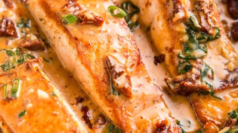 Creamy Sun-Dried Tomato Salmon (Dairy-Free) - The Roasted Root