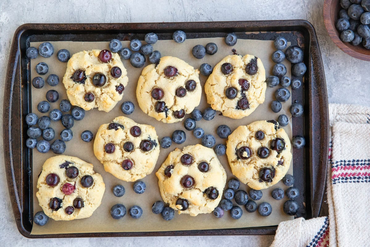 Almond flour blueberry cookies on a baking sheet with fresh blueberries all around.