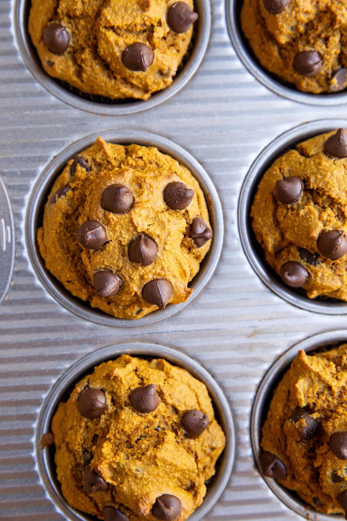 healthy pumpkin muffins in a muffin tray fresh out of the oven.