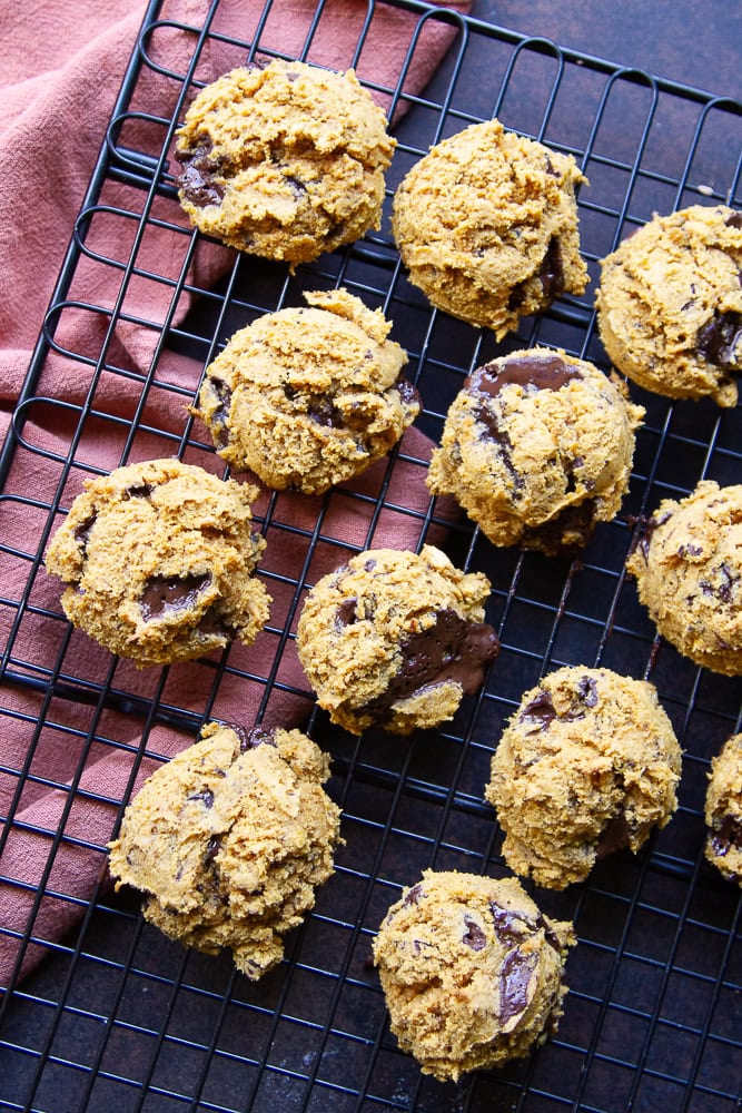 Gluten-Free pumpkin chocolate chip cookies on a wire rack, cooling from being in the oven.