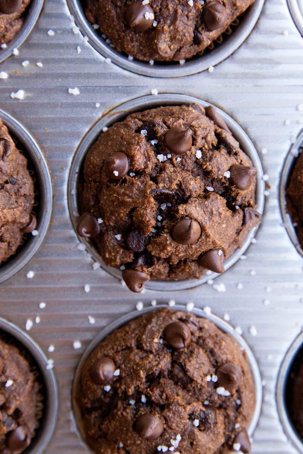 Muffin tray with chocolate muffins, fresh out of the oven.