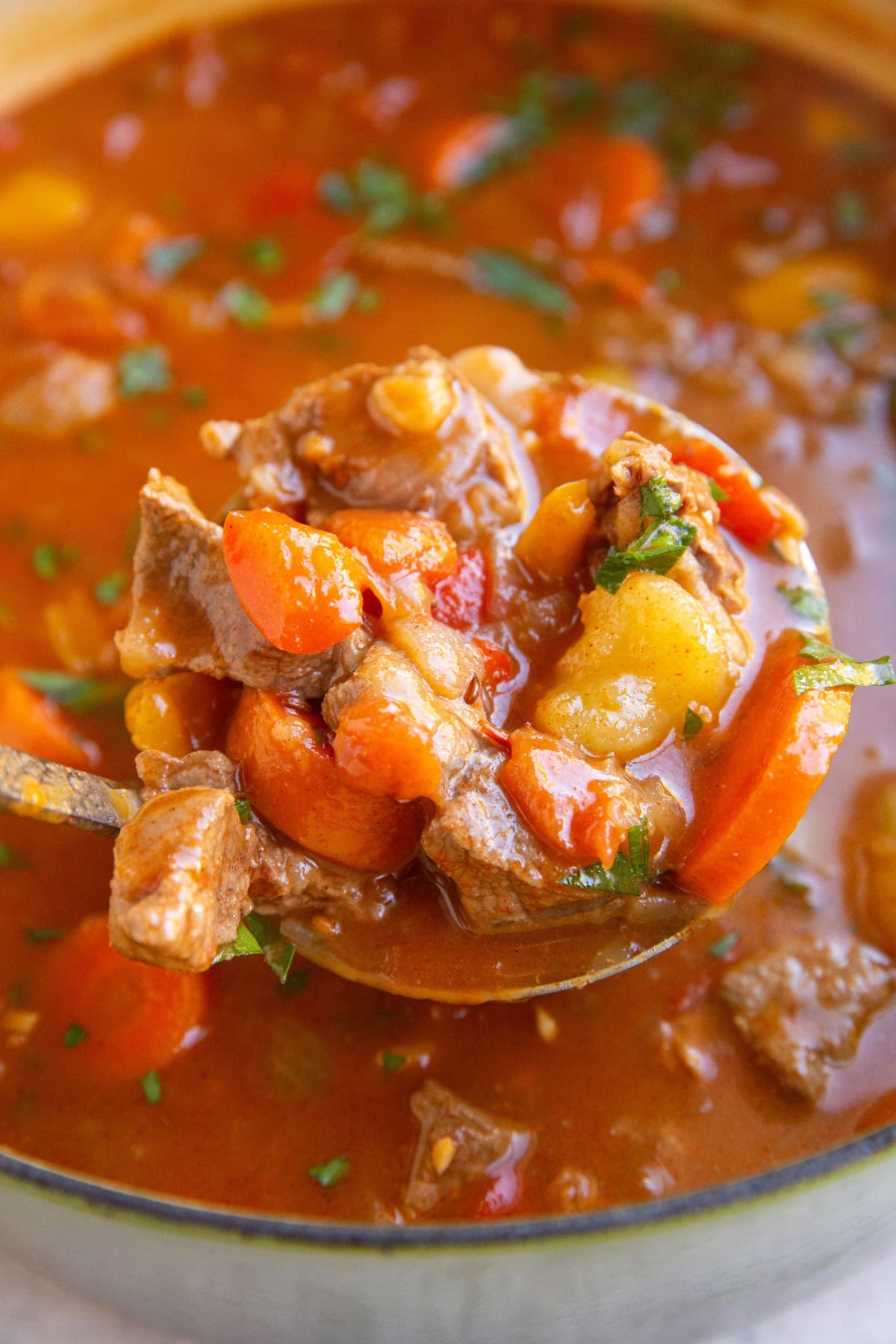 Ladle scooping out a scoop of goulash out of a pot.