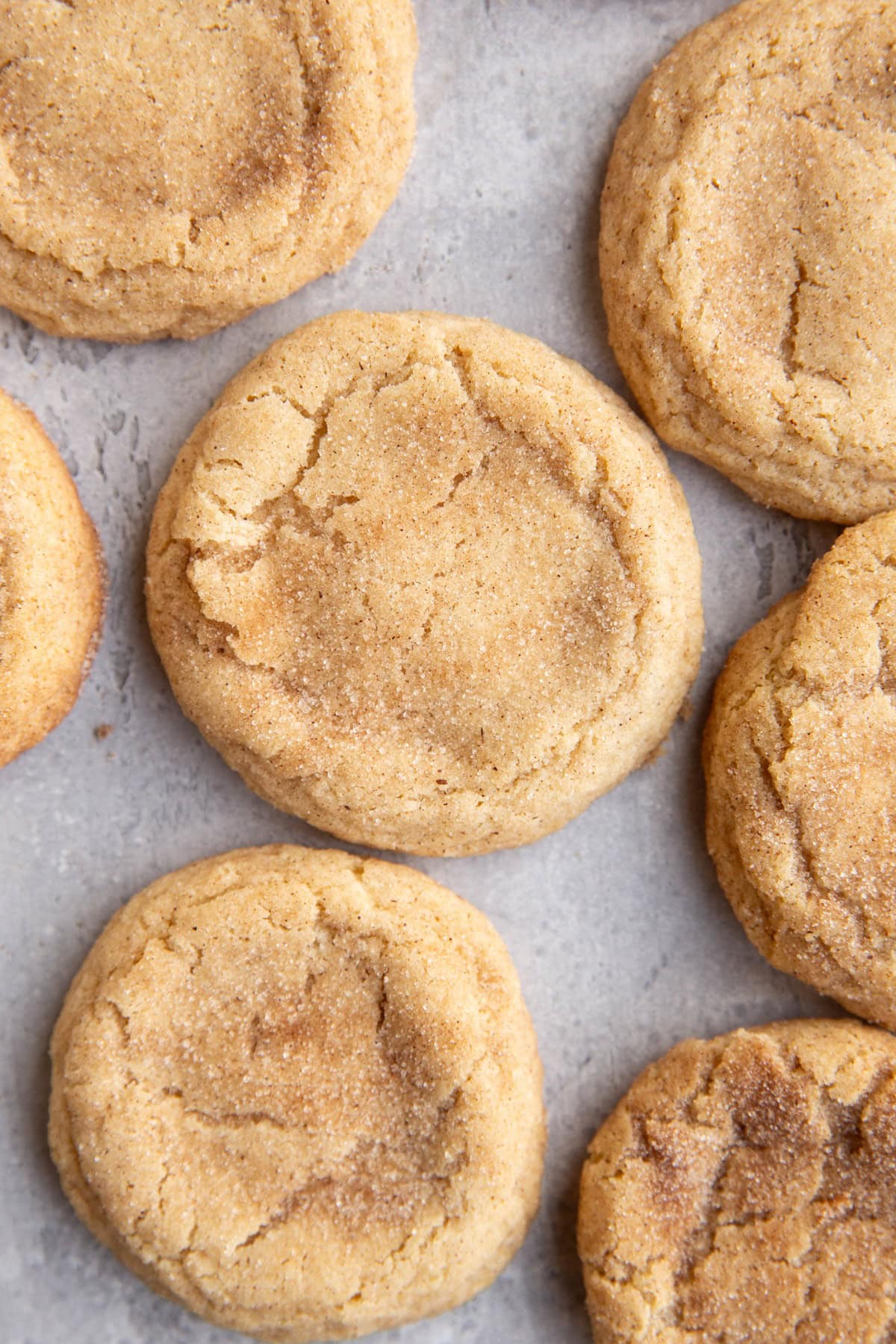 Snickerdoodle cookies on a marble backdrop.