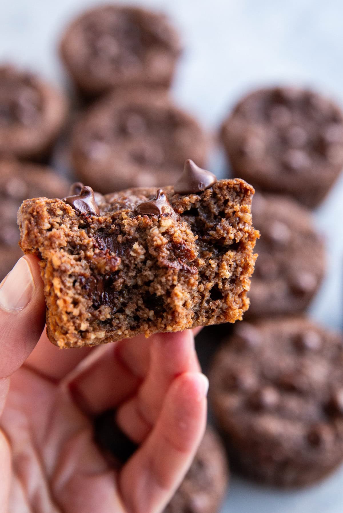 Hand holding a chocolate muffin with a bite taken out.