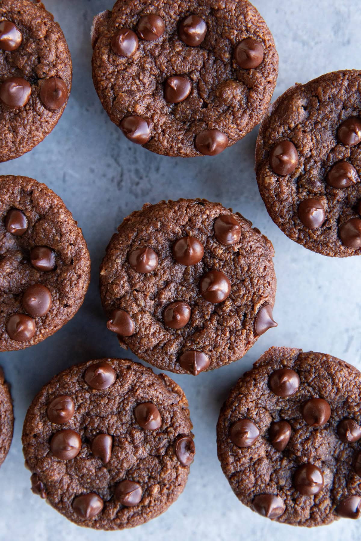 Chocolate muffins on a blue background, fresh out of the oven and ready to eat.