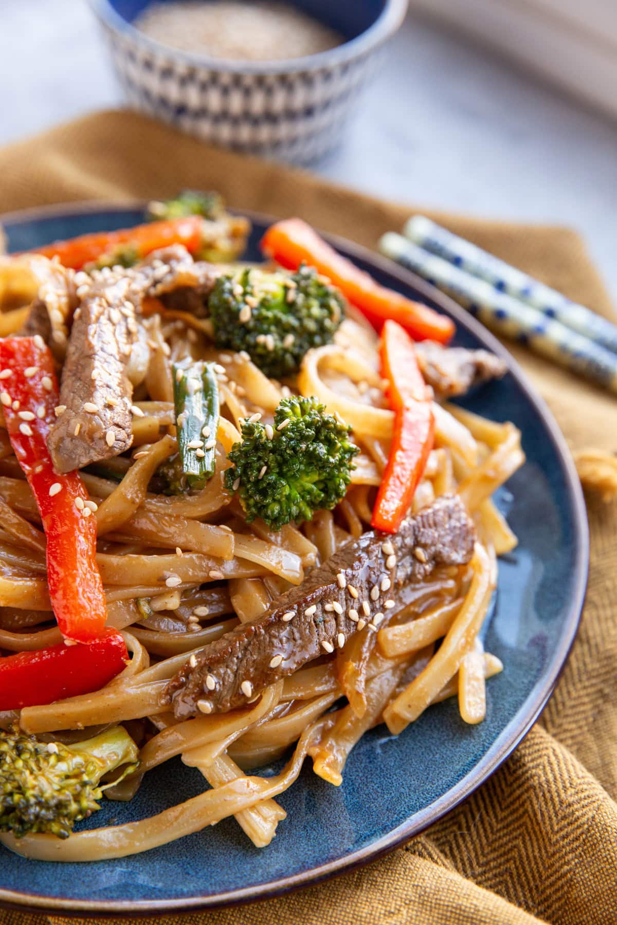 Blue plate of noodles with beef and vegetables, ready to eat.