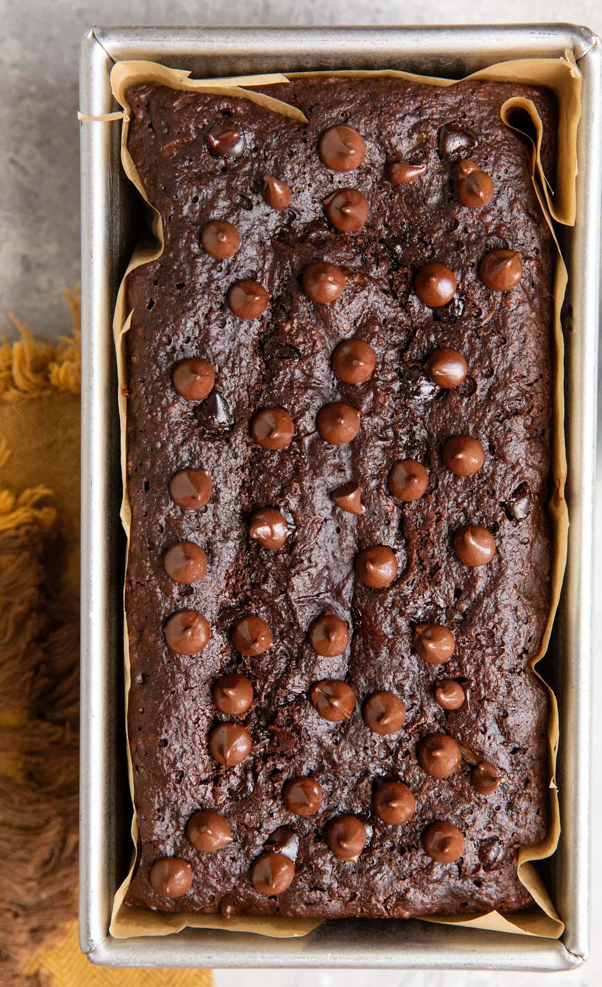 Loaf pan of chocolate bread topped with chocolate chips, fresh out of the oven.