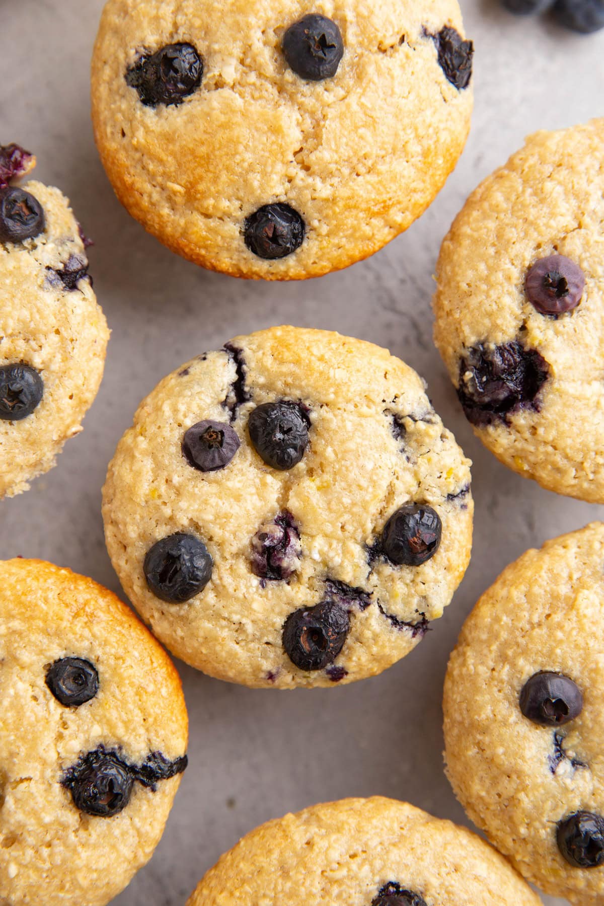 Cottage cheese blueberry muffins, ready to be served.